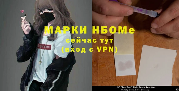 индика Алексеевка