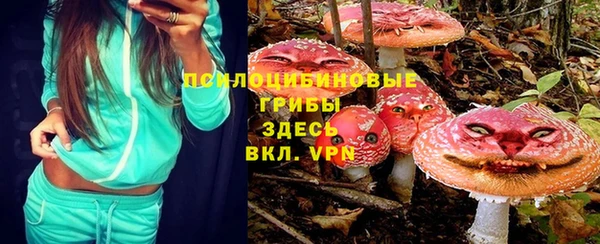 спайс Алзамай