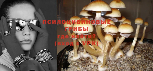дурь Алексин
